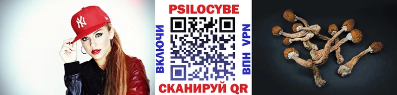Купить где  Славгород  Псилоцибиновые грибы мицелий 